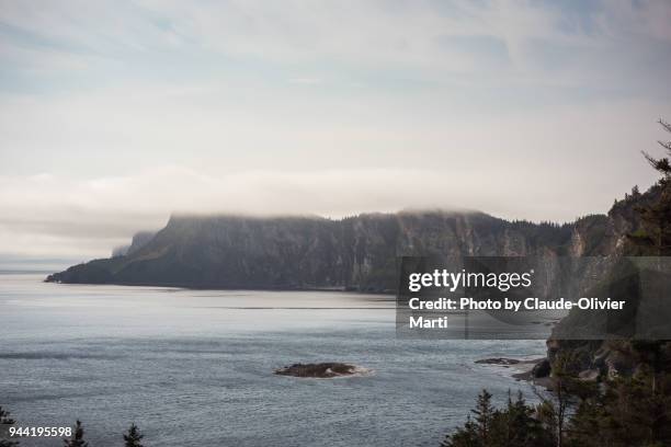 cap-bon-ami, forillon national park, gaspésie, canada - forillon national park fotografías e imágenes de stock