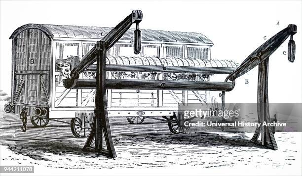 Illustration depicting an closed cattle truck at a feeding and watering halt. This system of trucks was used in the United States for transporting...