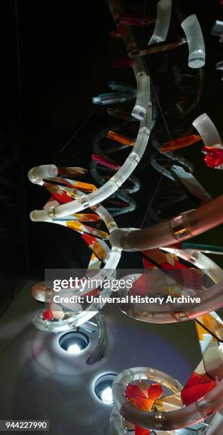Model of the DNA Double Helix. 2017. In molecular biology, the term double helix refers to the structure formed by double-stranded molecules of...