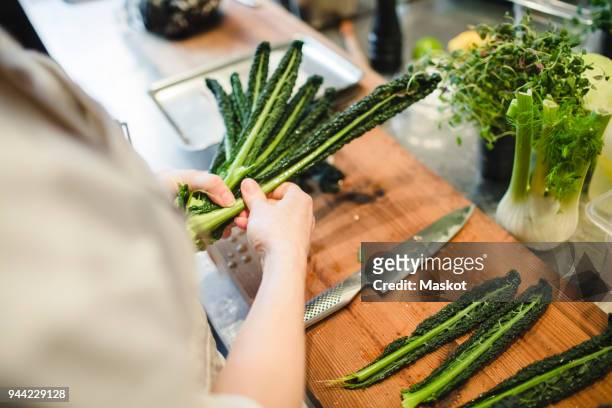 midsection of female chef preparing vegetable at kitchen - cabbage family stock pictures, royalty-free photos & images