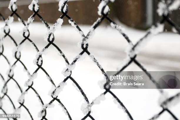 fence - auschwitz stock pictures, royalty-free photos & images