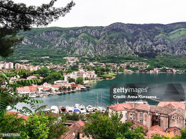 beautiful landscape of the kotor bay from the peak of lovchen mountain in kotor, montenegro. natute background. bay of kotor bay is one of the most beautiful places on adriatic sea. - kotor stock-fotos und bilder