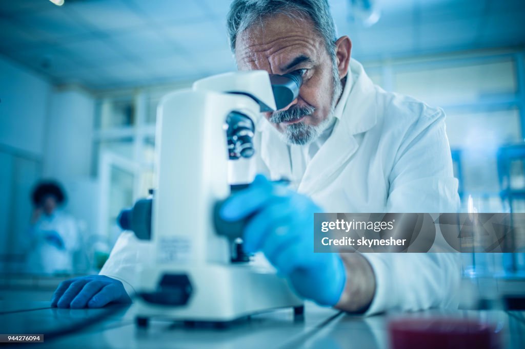 Cientista forense madura, olhando através do microscópio, enquanto trabalhava em pesquisas em um laboratório.