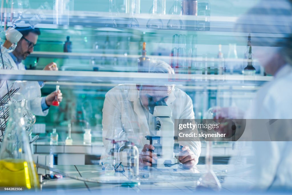 Mature forensic scientist using microscope while working with his colleagues in laboratory.