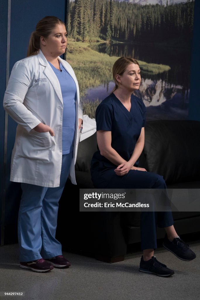 ABC's "Grey's Anatomy" - Season Fourteen