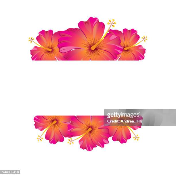 tropical design template with copy space for text - nature flower / leaf seamless pattern in background - hibiscus stock illustrations