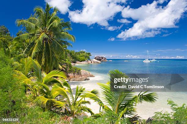 palm-fringed anse bateau, praslin, seychelles - seychellen stock-fotos und bilder