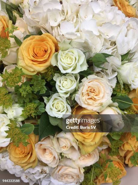 bouquet with subati roses, hydrangea - protea stock pictures, royalty-free photos & images