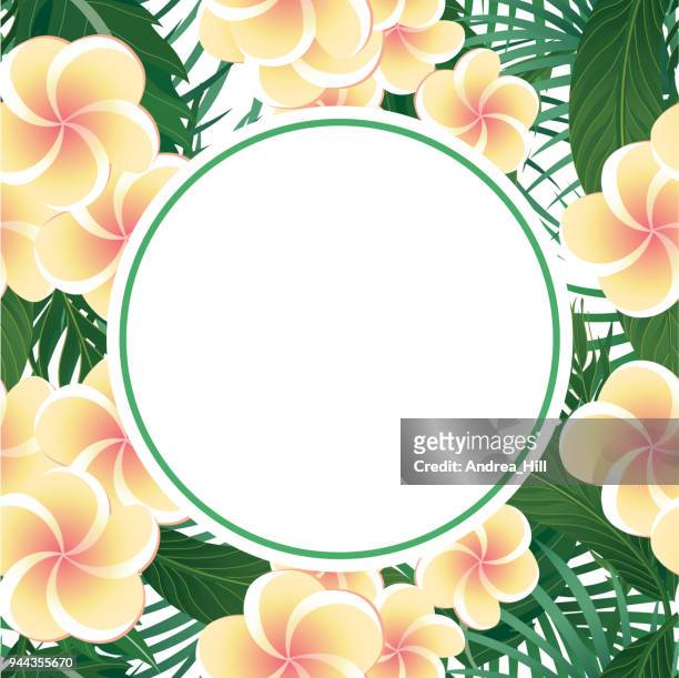 tropical design template with copy space for text - nature flower / leaf seamless pattern in background - frangipani stock illustrations