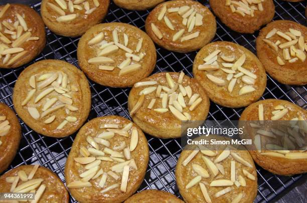 homemade speculaas or speculoos (spiced shortcrust biscuits) cool on a wire rack - sinterklaas - fotografias e filmes do acervo