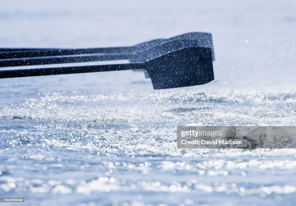 Rowing team's oars, close-up