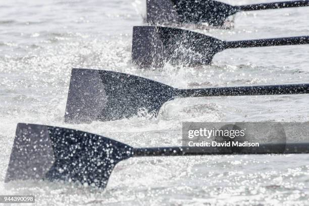 rowing team's oars entering water - remo de competición fotografías e imágenes de stock