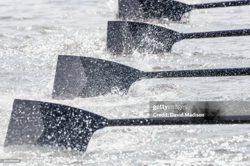 Rowing team's oars entering water