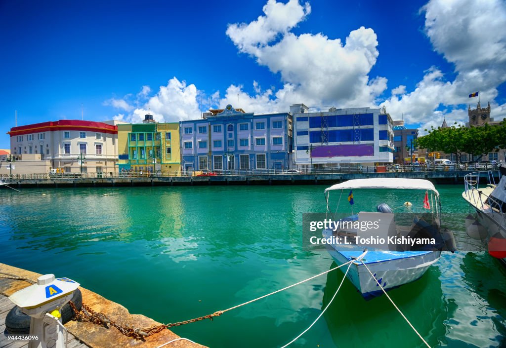 Marina in Barbados