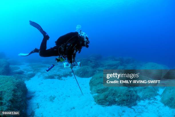 Louis Hadjioannou, a marine biologist from Enalia Physis Environmental Research Centre, dives with a spear gun in search of lionfish at the Table Top...