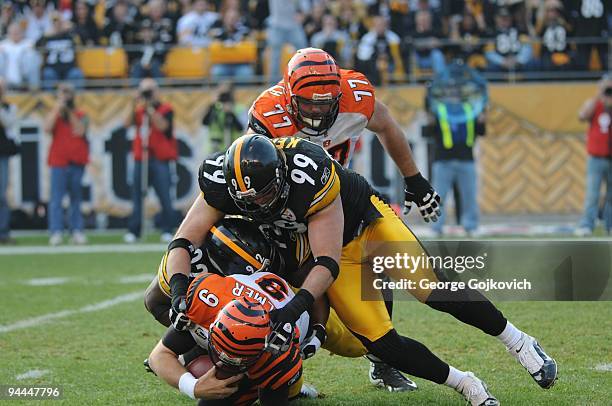 Defensive lineman Brett Keisel and linebacker James Harrison of the Pittsburgh Steelers sack quarterback Carson Palmer of the Cincinnati Bengals as...