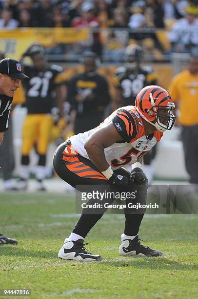 Linebacker Dhani Jones of the Cincinnati Bengals looks on from the field during a game against the Pittsburgh Steelers at Heinz Field on November 15,...