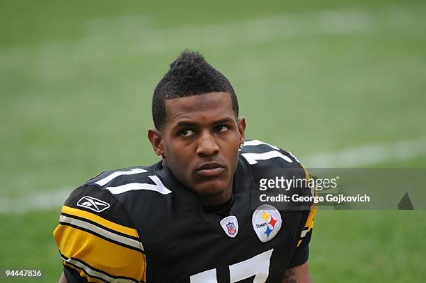 Wide receiver Mike Wallace of the Pittsburgh Steelers looks on from the field before a game against the Cincinnati Bengals at Heinz Field on November...
