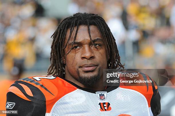 Running back Cedric Benson of the Cincinnati Bengals looks on from the sideline during a game against the Pittsburgh Steelers at Heinz Field on...