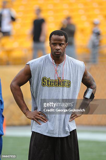 Cornerback Ike Taylor of the Pittsburgh Steelers looks on from the field before a game against the Cincinnati Bengals at Heinz Field on November 15,...