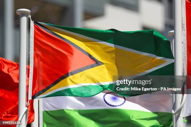 The flag of Guyana on a pole at the Commonwealth Games
