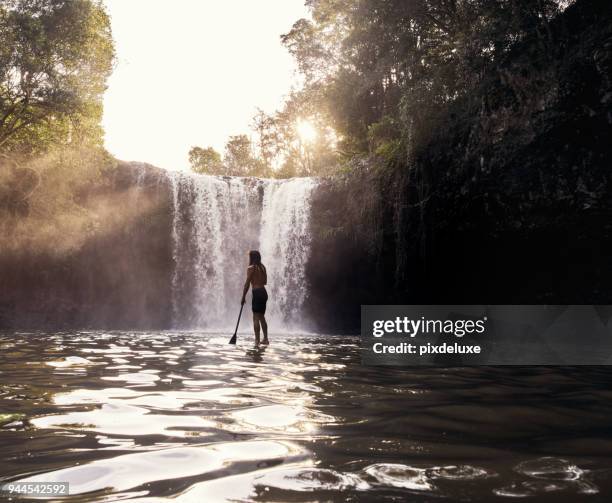 just go with the flow - paddleboarding australia stock pictures, royalty-free photos & images