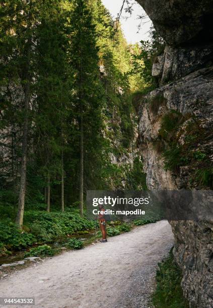 travel so life doesn't escape you - dreadlocks-isolated stock pictures, royalty-free photos & images