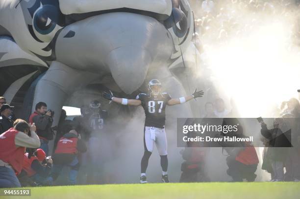 Tight end Brent Celek of the Philadelphia Eagles enters the field during the game against the Washington Redskins on November 29, 2009 at Lincoln...