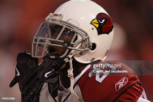 Safety Antrel Rolle of the Arizona Cardinals looks on before taking on the San Francisco 49ers at Candlestick Park on December 14, 2009 in San...