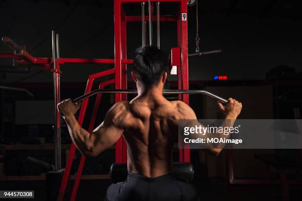 portrait of a bodybuilder - brustmuskulatur stock-fotos und bilder