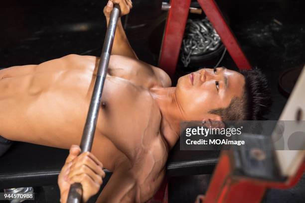 portrait of a bodybuilder - brustmuskulatur stock-fotos und bilder