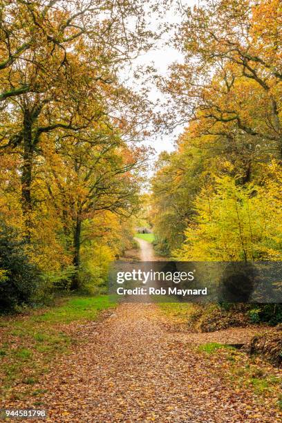 63 Autumn (Rapper) Stock Photos, High-Res Pictures, and Images - Getty ...