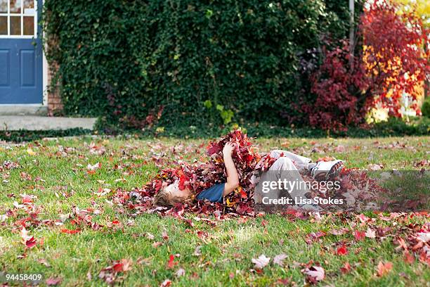 playing in the leaves - lisa stokes stock pictures, royalty-free photos & images