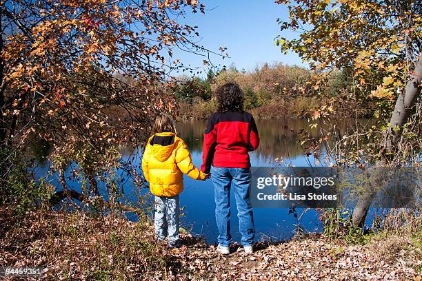 mother and son - lisa stokes stock pictures, royalty-free photos & images