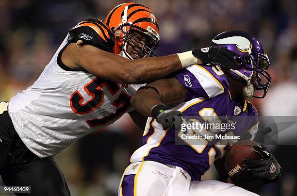 Chester Taylor of the Minnesota Vikings runs the ball against Dhani Jones of the Cincinnati Bengals on December 13, 2009 at Hubert H. Humphrey...