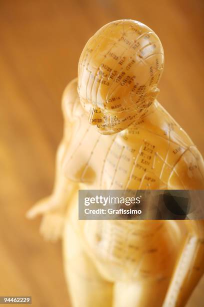 acupuncture female model from above - accupunctuurpop stockfoto's en -beelden