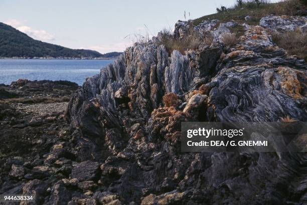 Rocks with vegetation, Terra del Fuoco, Chile and Argentina.