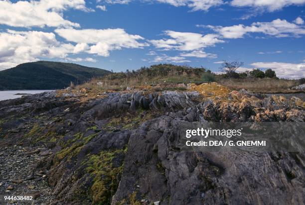 Rocks with moss on the coast, Terra del Fuoco, Chile and Argentina.