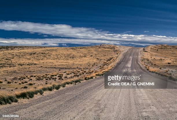 Road through the Patagonian steppe, Patagonia, Argentina.