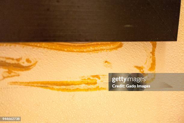 dirty residue and discoloration on wall - ugly bathroom stock pictures, royalty-free photos & images