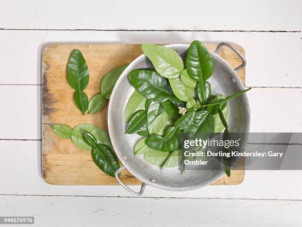 kaffir lime leaves on wooden board - kafferlimoen stockfoto's en -beelden