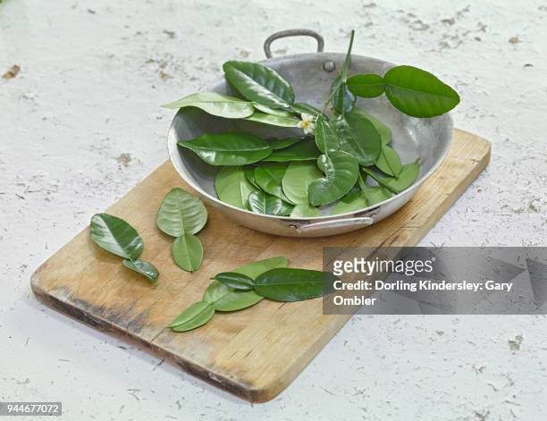 kaffir lime leaves on wooden board - mauritius papeda stockfoto's en -beelden
