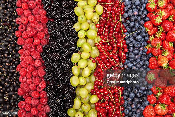 viele verschiedene frische beeren in einer reihe - johannisbeere stock-fotos und bilder