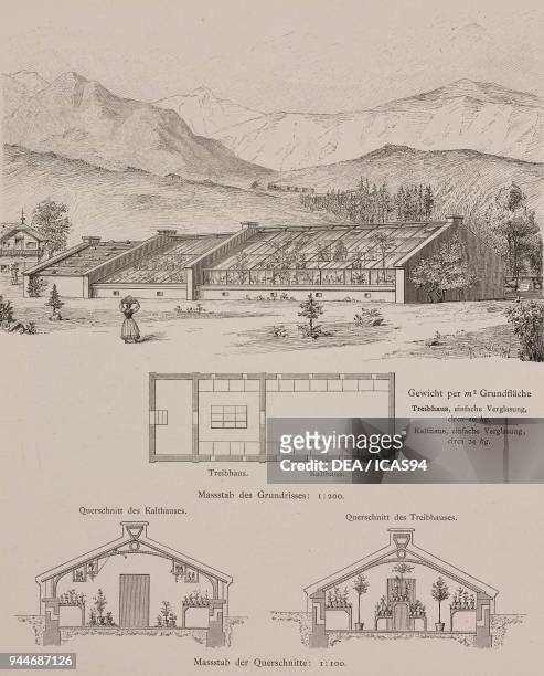 Hot and cold single-glazed greenhouse made for J Gassner in Bludenz, Austria, engraving, Skizzen und Typen, plate 170, designs by Rudolph Philip...