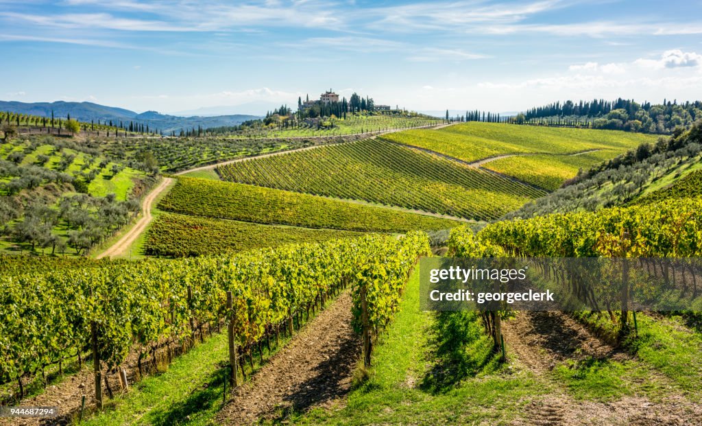 Dolci colline di vigneti toscani nella regione vinicola del Chianti