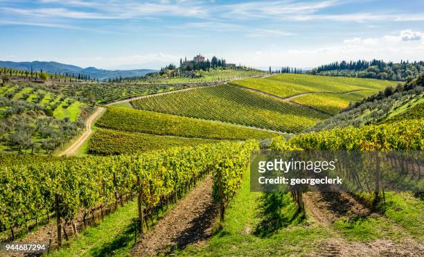 glooiende heuvels van de wijngaarden van de toscaanse chianti wijn regio - wijngaard stockfoto's en -beelden