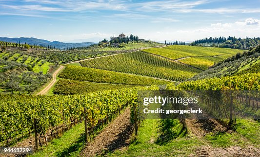 Rolling hills of Tuscan vineyards in the Chianti wine region Rolling hills of Tuscan vineyards in the Chianti wine region