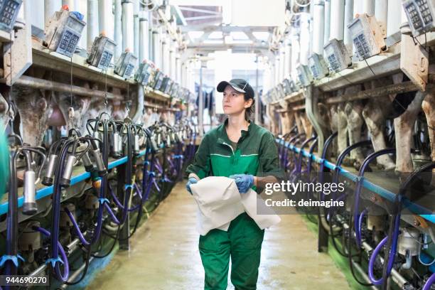 arbeitnehmerin, die steuerung der melkmaschine-panel - man milking woman stock-fotos und bilder