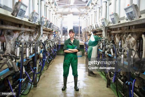 vrouw werknemer portret in de moderne farm - dairy farming stockfoto's en -beelden