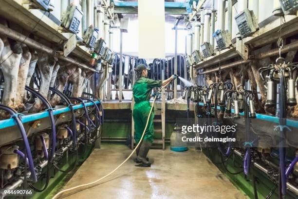 女工清潔擠奶機 - suction tube 個照片及圖片檔